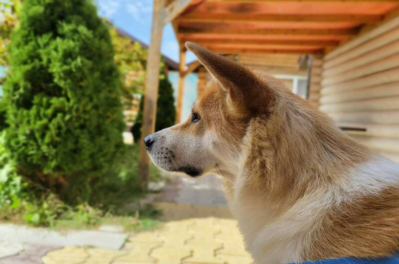 База отдыха «Кокос»