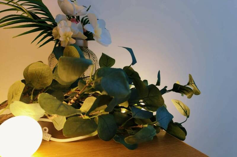 Гостевой дом «Парфена»