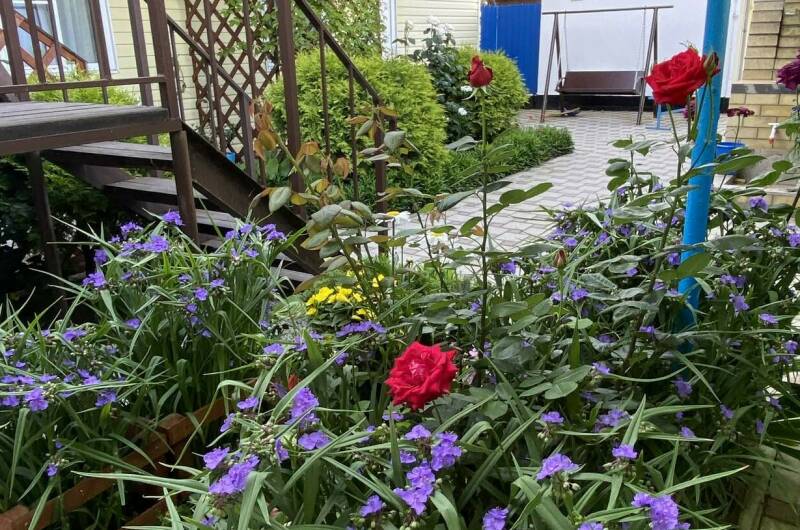 Двухкомнатные апартаменты в частном доме «Юлия»