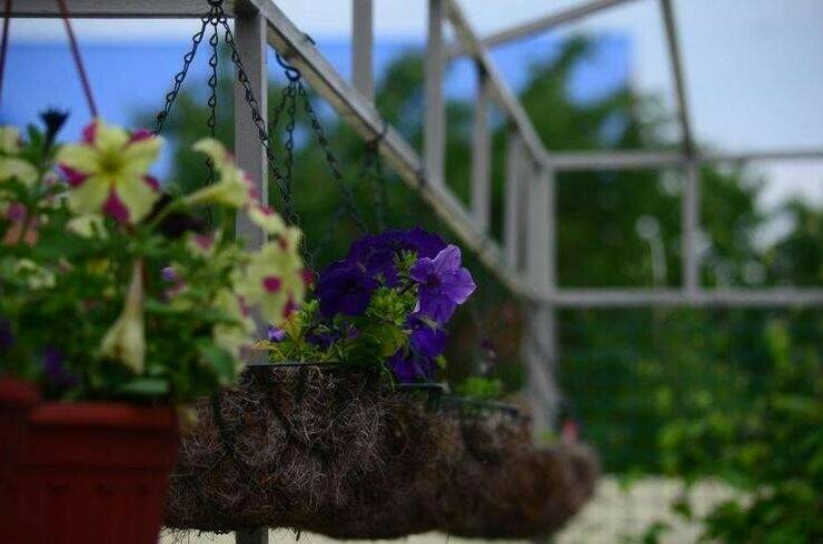 Гостевой дом «Blaga inn»