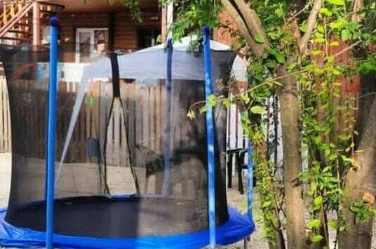 Гостевой дом «Avenue Green»