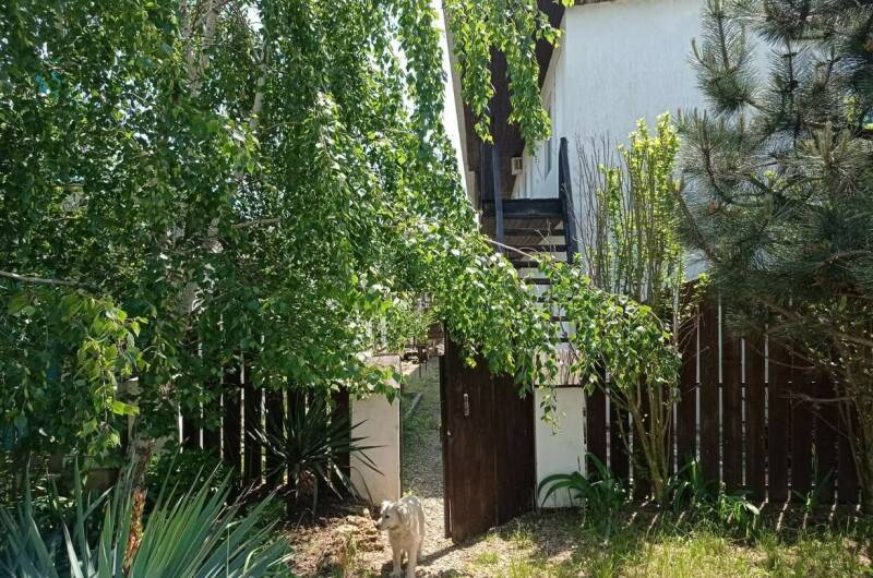 Гостевой дом «Светлый»