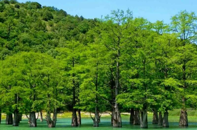 Апарт-студия на Мирной