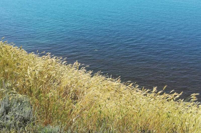 Гостевой дом «На высоком берегу»