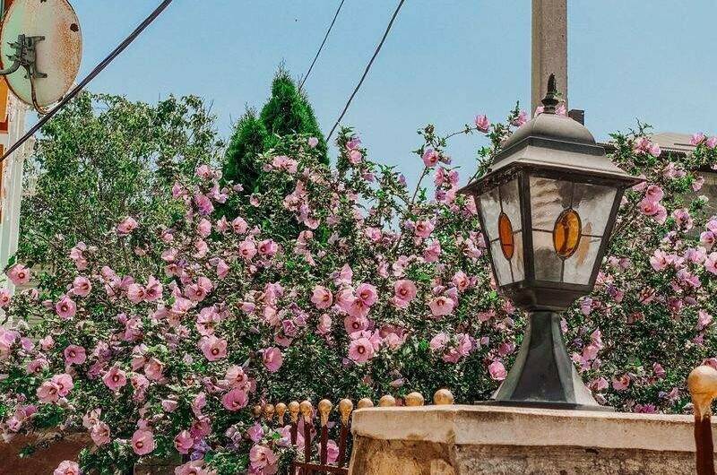 Гостевой дом «Винтаж»