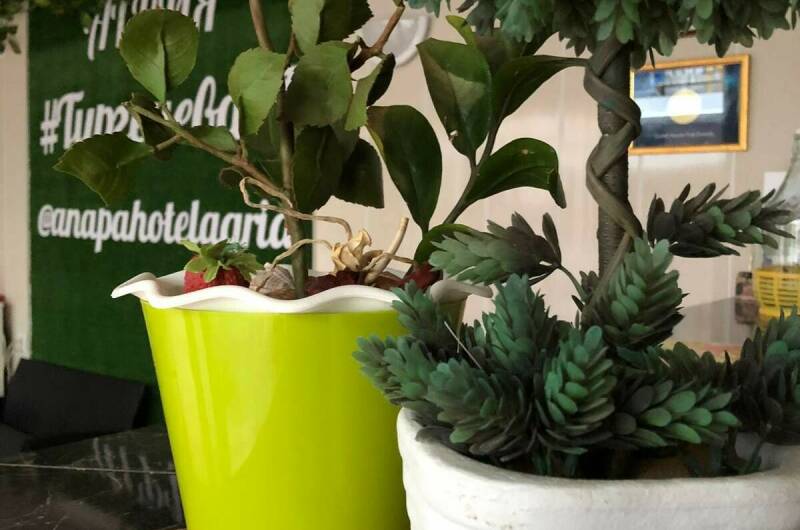 Гостевой дом на Тургенева 97