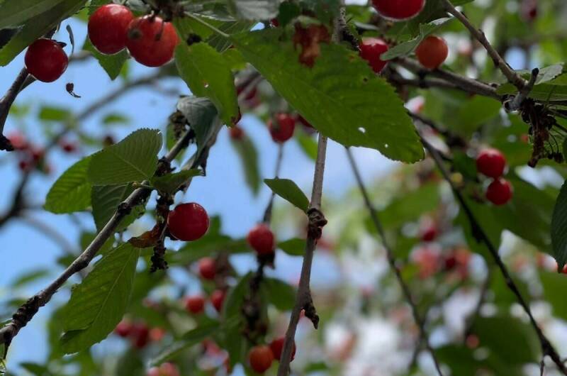 Гостевой дом на Тургенева 97