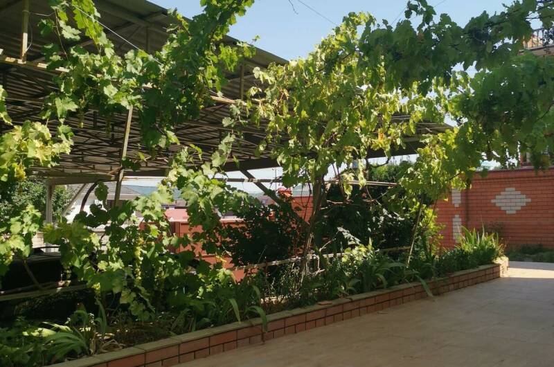 Гостевой дом «Sukko house»