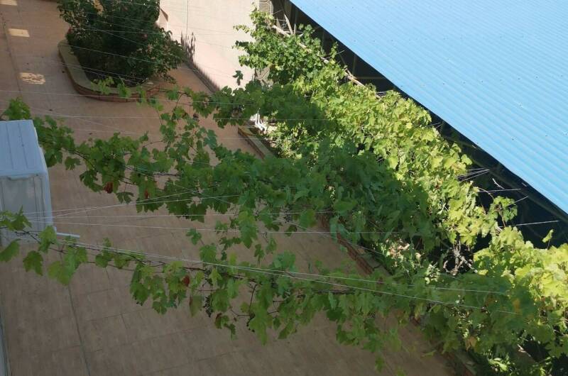 Гостевой дом «Sukko house»