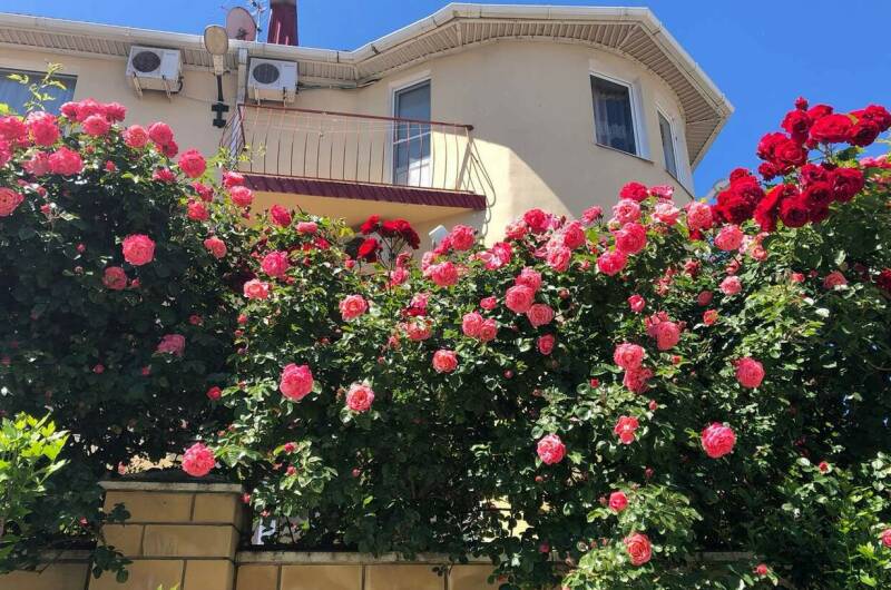 Гостевой дом «Барон-Диана»