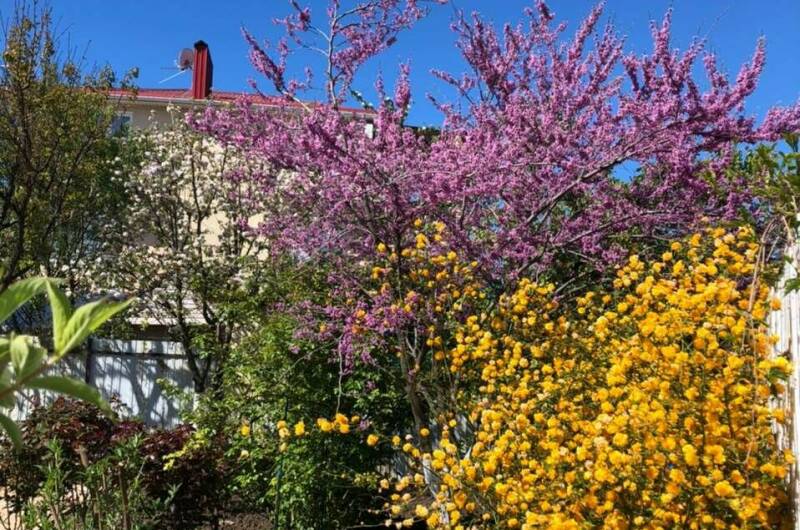 Гостевой дом «Барон-Диана»