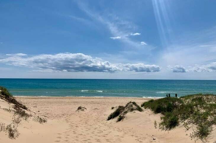 База отдыха «Семейный Оазис»