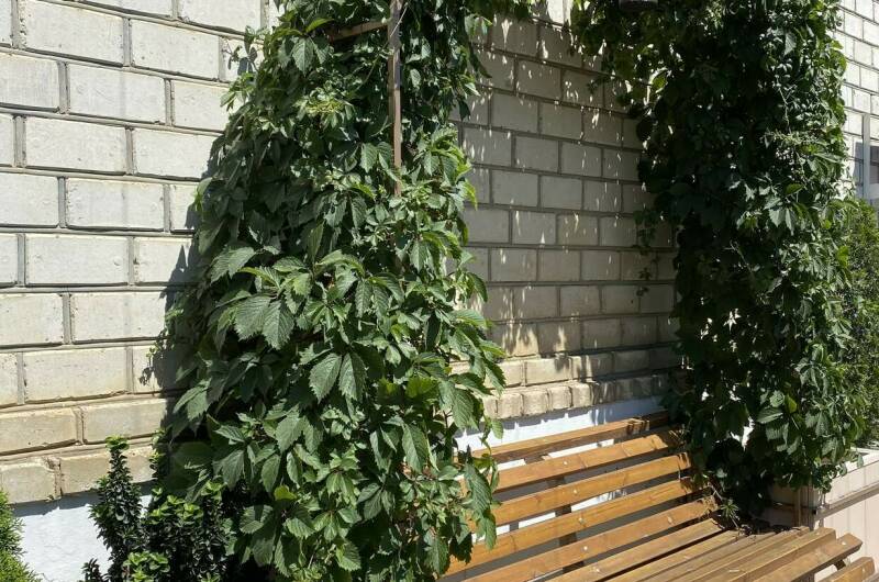 Гостевой дом «У Пани»