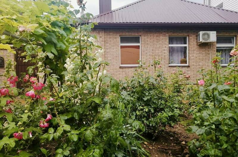 Частное домовладение «Dog Friendly»