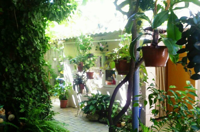 Частное домовладение «Dog Friendly»