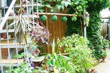 Частное домовладение «Dog Friendly»