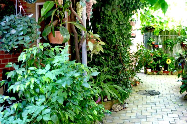 Частное домовладение «Dog Friendly»