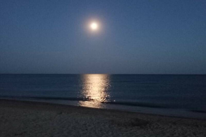 Домик «Панорама»