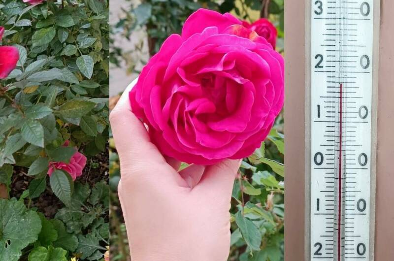 Гостевой дом «Отдых на Кати Соловьяновой»