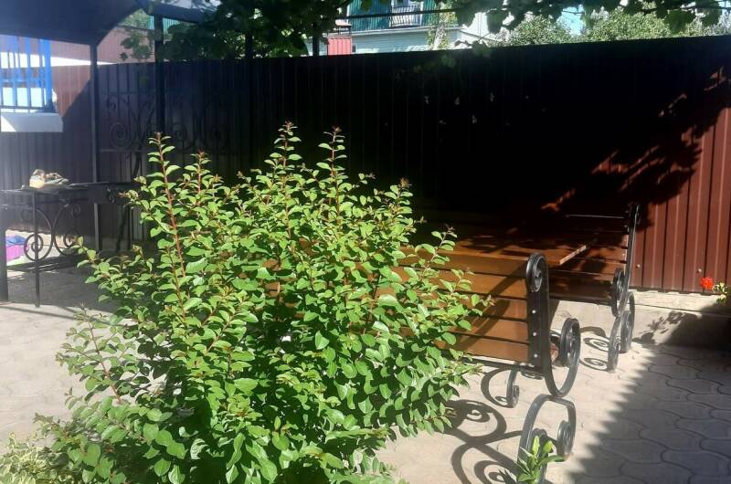 Гостевой дом «Отдых у Марии»