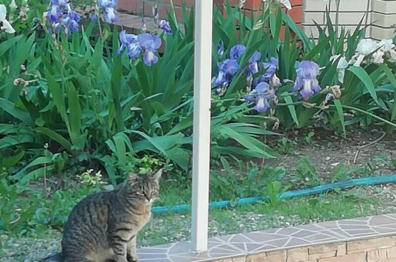 Частный дом «Берёзка»