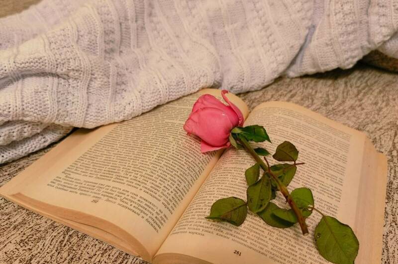 Гостевой дом «Наутилус»