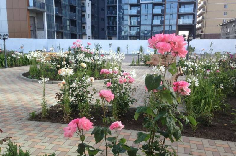 Отель «Золотой берег»