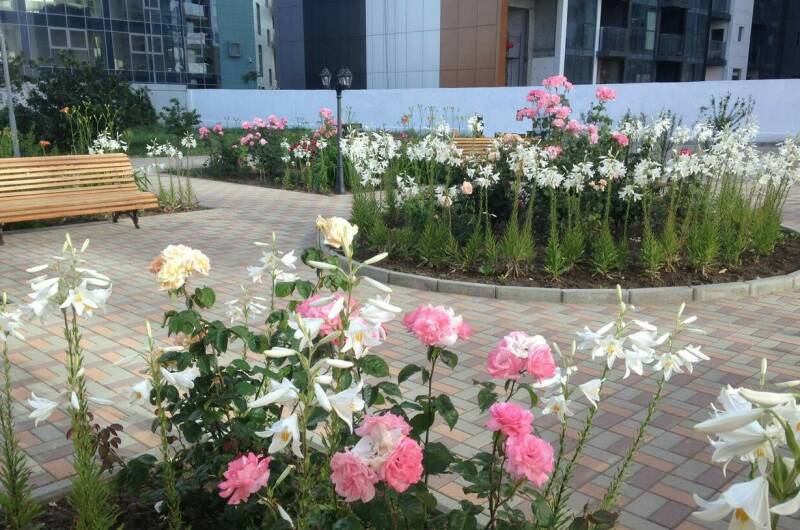 Отель «Золотой берег»