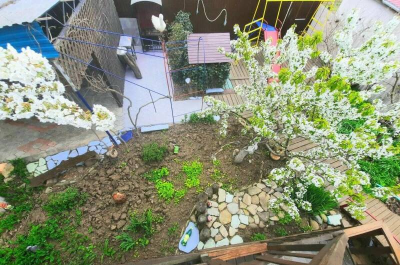 Гостевой дом «Елизавета»