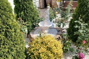 Изображение Гостевой дом «Виола» #2