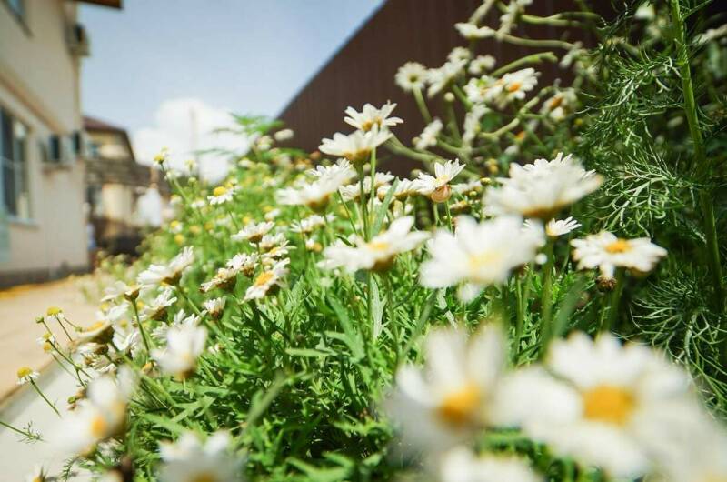 Гостевой дом «Энергия Жизни»