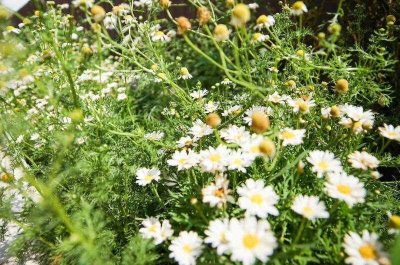 Гостевой дом «Энергия Жизни»