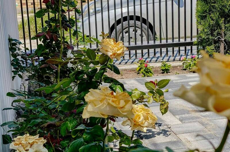 Отель «Димитрион»