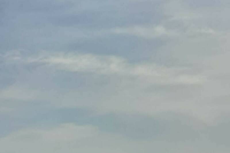 Гостевой дом «Южная Магнолия»