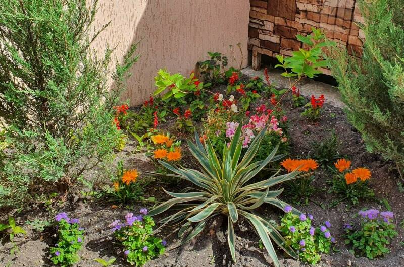 Отель «ТриО»