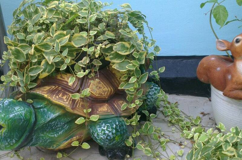 Гостевой дом «У Борисовны»