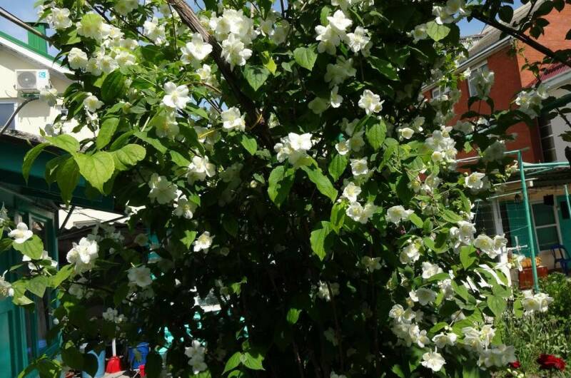 Гостевой дом «У Борисовны»