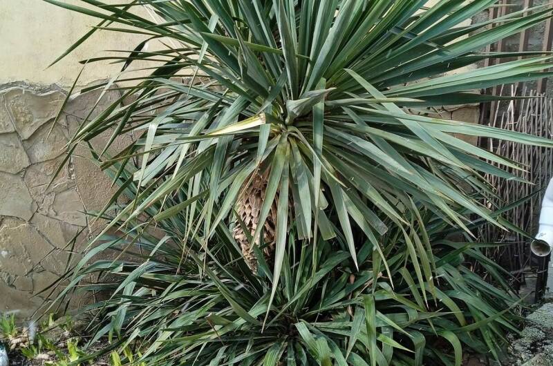 Домик «У Аниты»