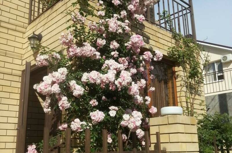 Домик «У Аниты»