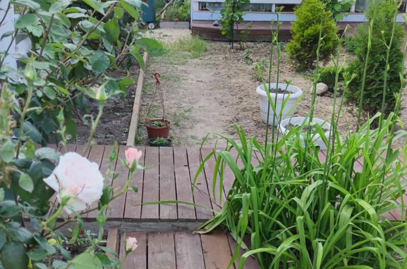 Гостевой дом «Зелёная Дача»