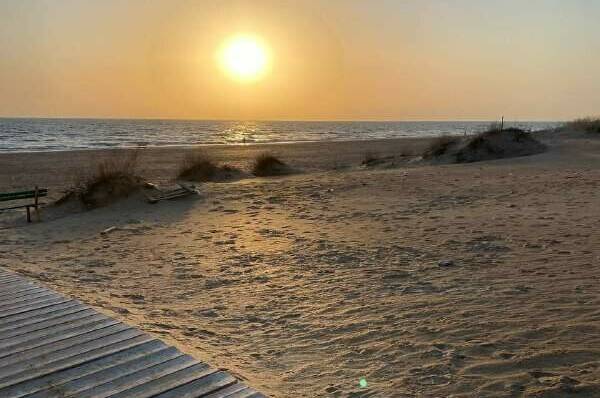 Гостевой дом «Domanapa.uposidelkina»