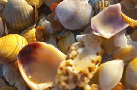 Гостевой дом «Domanapa.uposidelkina»