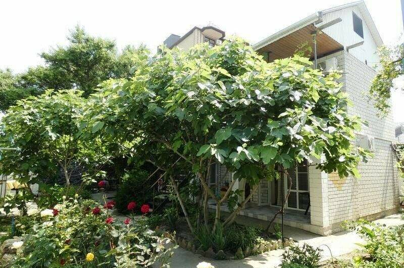 Гостевой дом на Самбурова