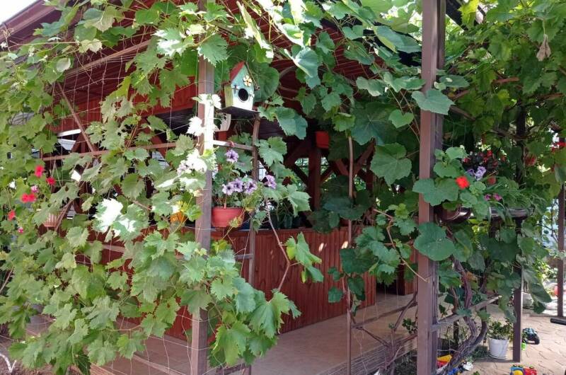 Гостевой дом «Никита»