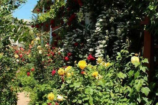 Гостевой дом «Янтарь»