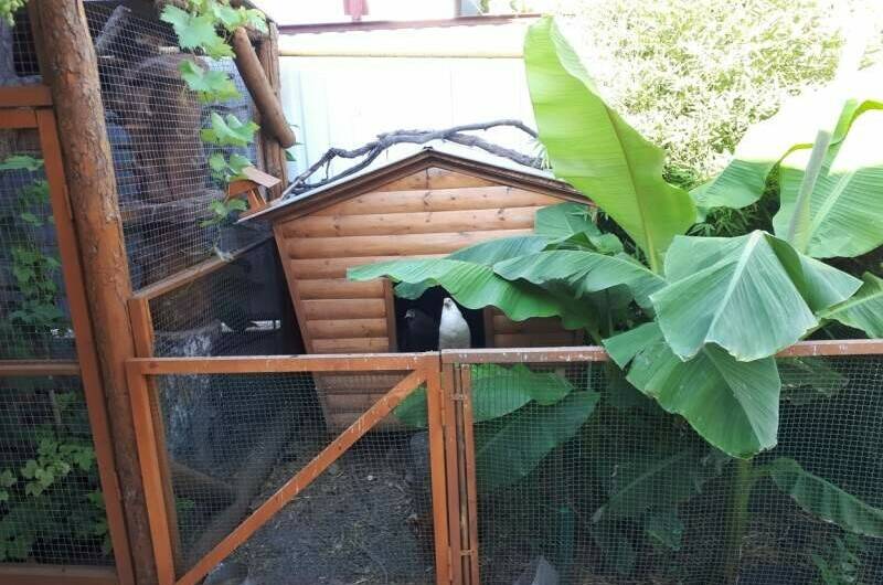 Дом под ключ на Шевченко