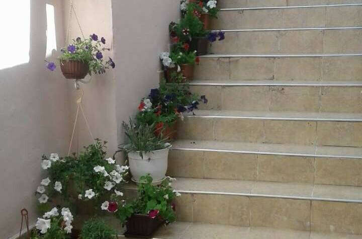 Гостевой дом «Сильва»