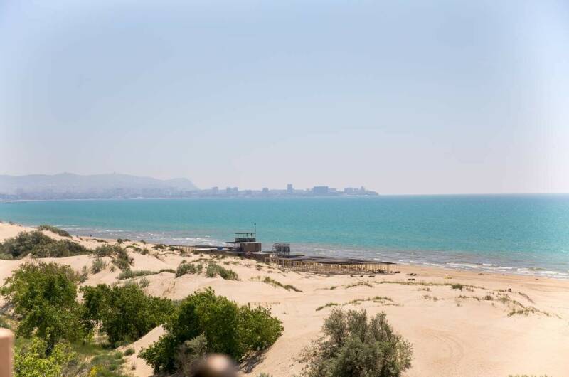 Отель «Alfa Summer»