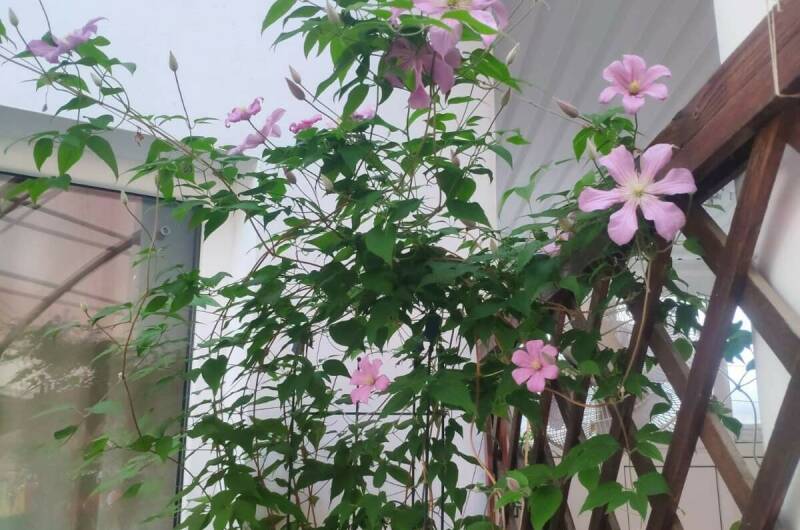 Гостевой дом «Мария»