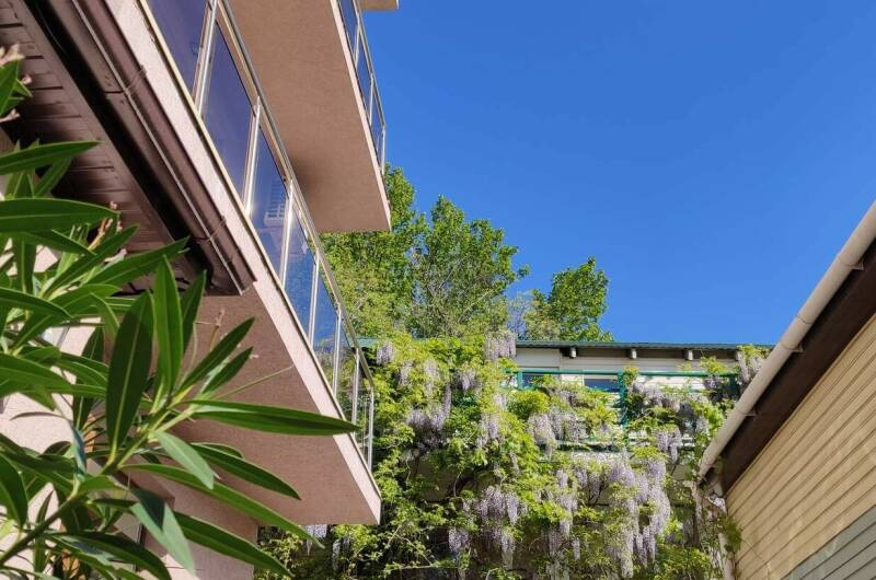 Гостевой дом «Алегрия»